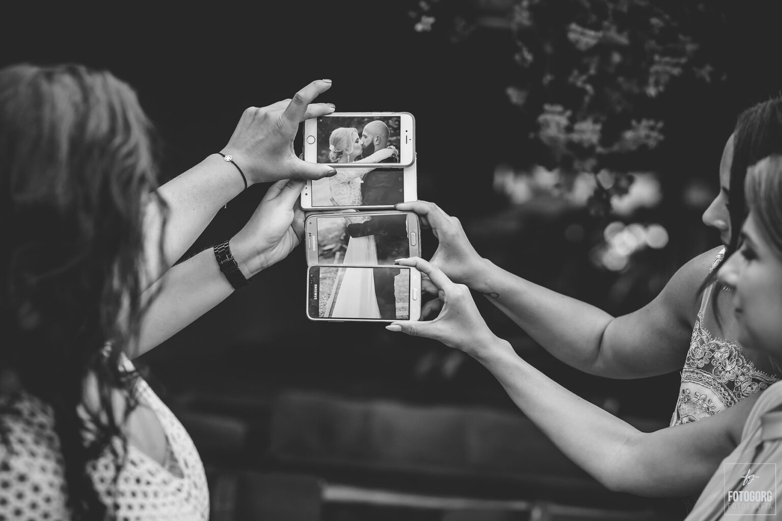 36652469_1699730113429486_6662201936382525440_n